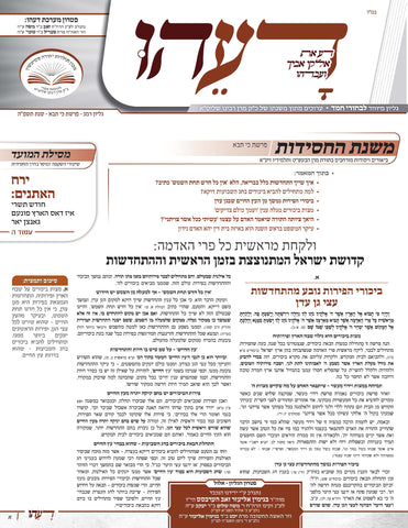 Subscribe for Weekly Doeihu - Yiddish Edition